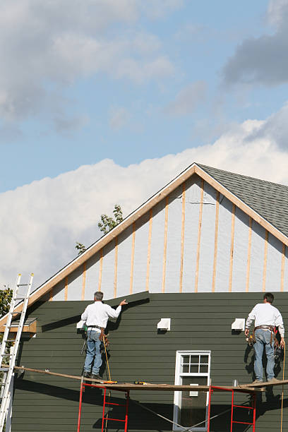  Chatham, IL Siding Installation Pros