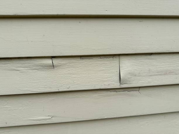 Best Steel Siding Installation  in Chatham, IL